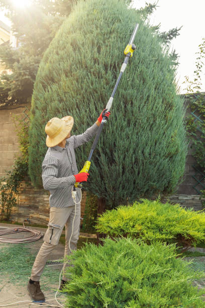 Trusted New Miami, OH Tree Removal and Landscaping Services Experts